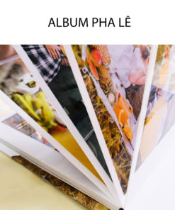 Album Phale - In album cưới