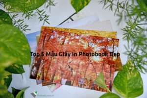 Top 5 Giấy In Photobook Đẹp